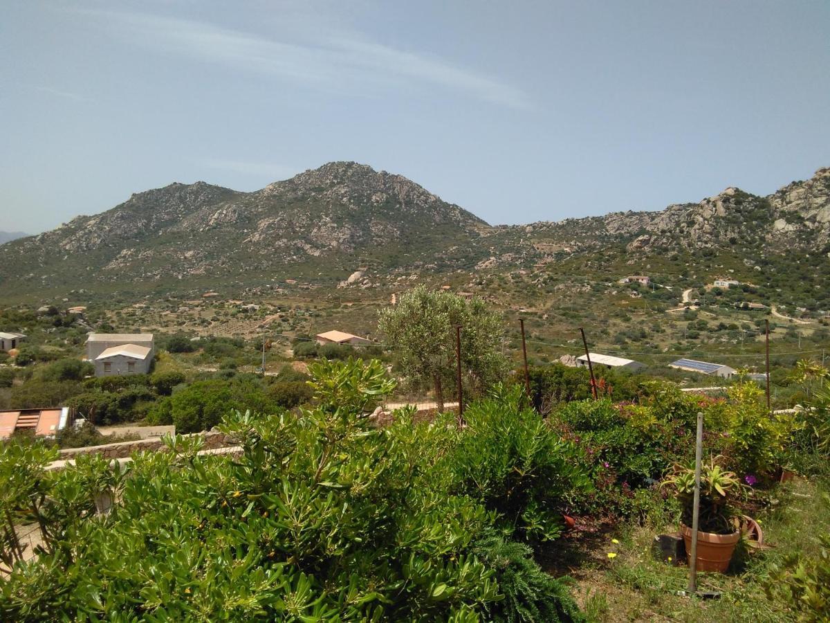 Villetta Osseddu أولبيا المظهر الخارجي الصورة