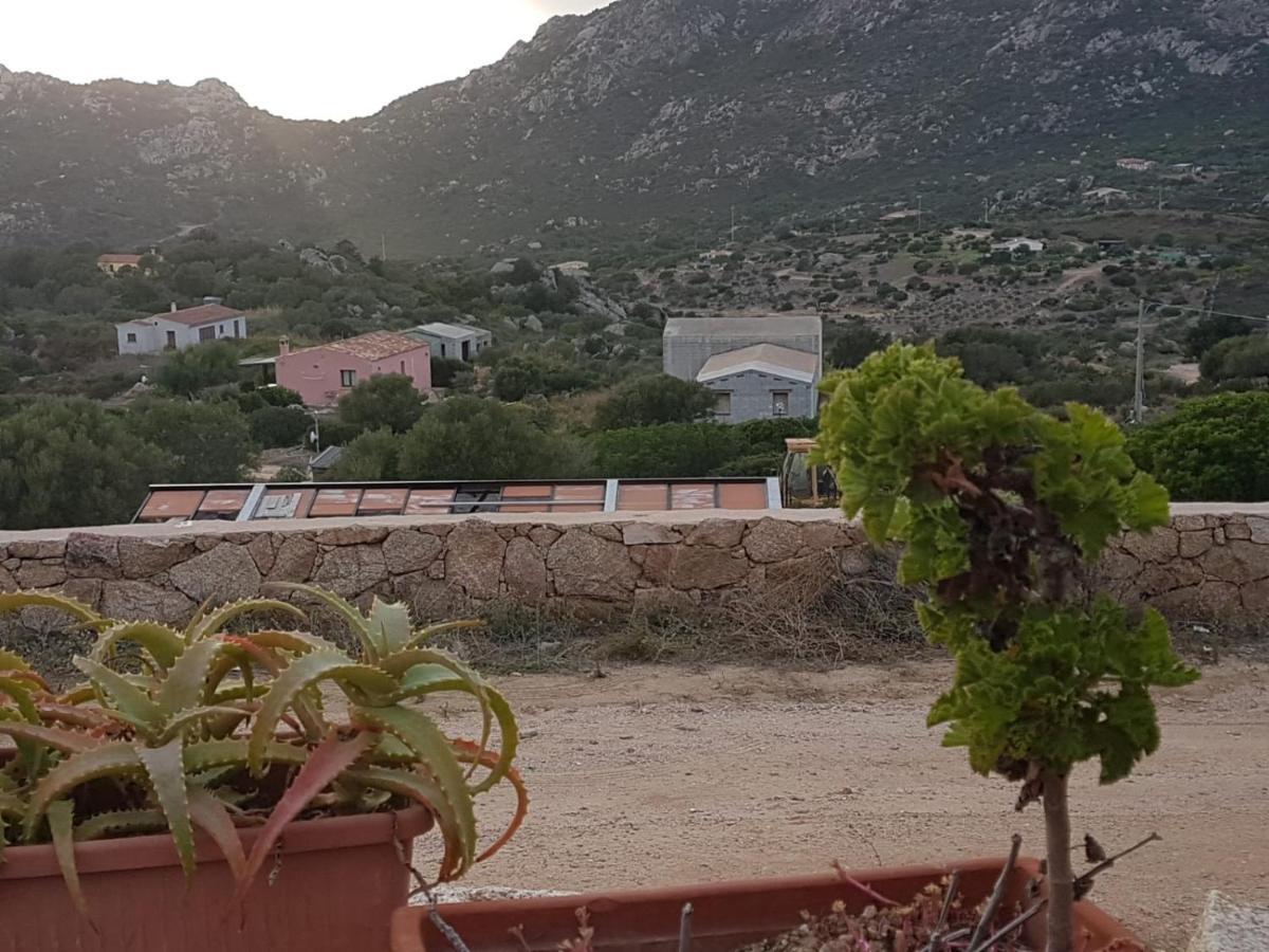 Villetta Osseddu أولبيا المظهر الخارجي الصورة